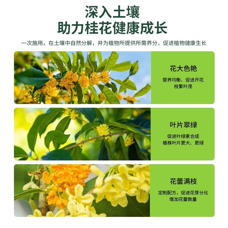 桂花树专用肥料花养花改善黄叶有机肥绿植盆栽四季通用型复合肥促