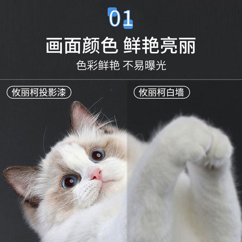 福乐阁攸丽柯投影漆幕布漆抗光专业高清幕布投影墙面漆