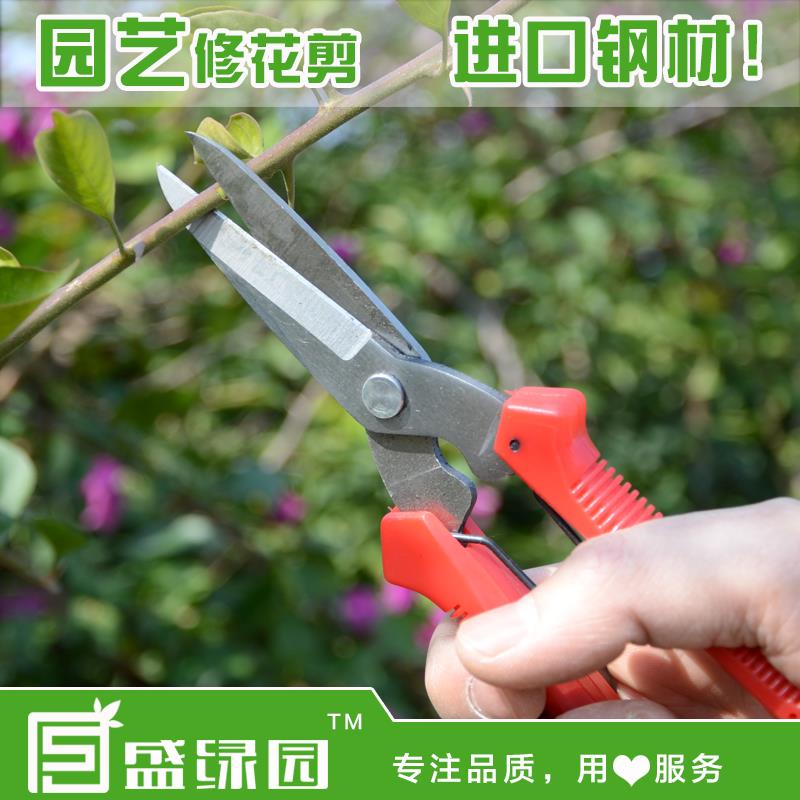 园艺剪刀钢材园林绿化工具花剪树枝果树园林剪修枝剪修花剪包邮图片