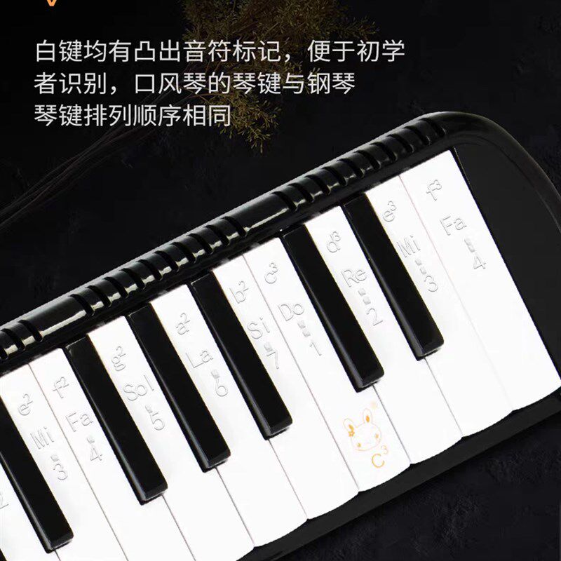 奇美37键口风琴32键36键吹管琴包全套小学生专用吹奏乐器初学口琴