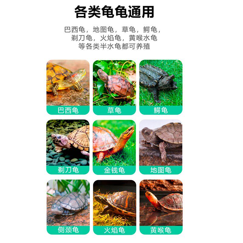 周转箱过滤箱养龟箱乌龟饲养箱生态水培大型鱼缸龟缸龟鱼共养滴流