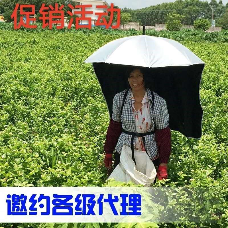 采茶遮阳黑胶防晒伞摘茶叶太阳伞雨伞帽子免持茶农专用可以背的伞