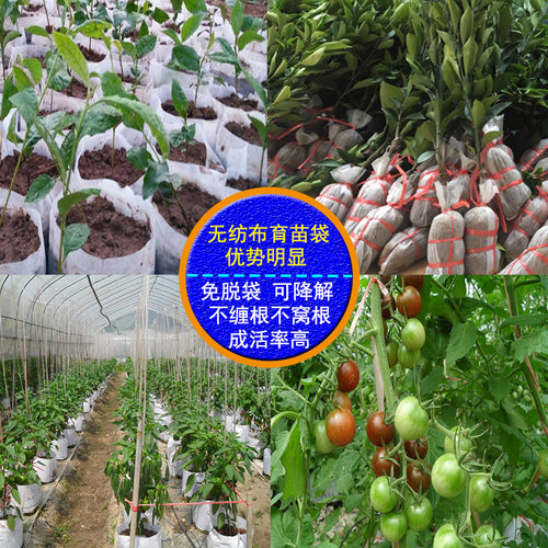 育苗袋不织布营养袋可降解营养钵苗圃移栽种植袋一次性花盆容器杯