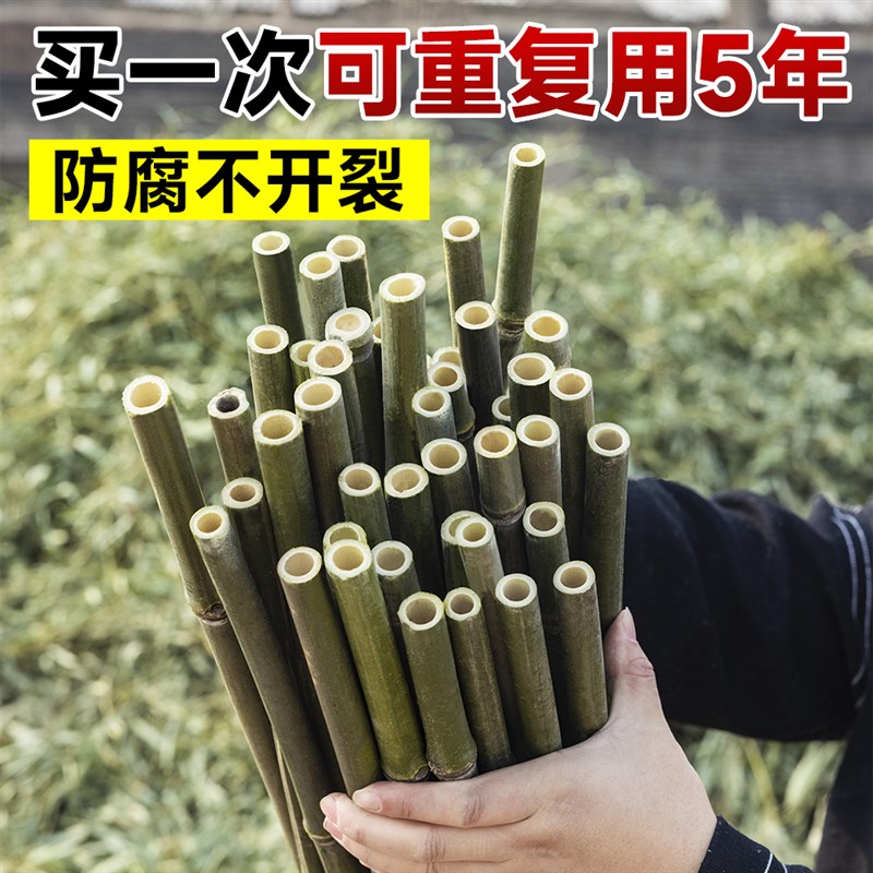 竹竿菜园搭架支架爬藤架小竹子杆2米3米长细竹竿棍支撑架防腐种菜