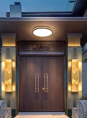新中式大门口吸顶灯别墅入户灯门厅灯大门顶灯门楼庭院阳台照明灯