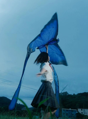 蓝色蝴蝶风筝大人专用微风易飞大型户外高颜值长尾巴飘带拍照道具