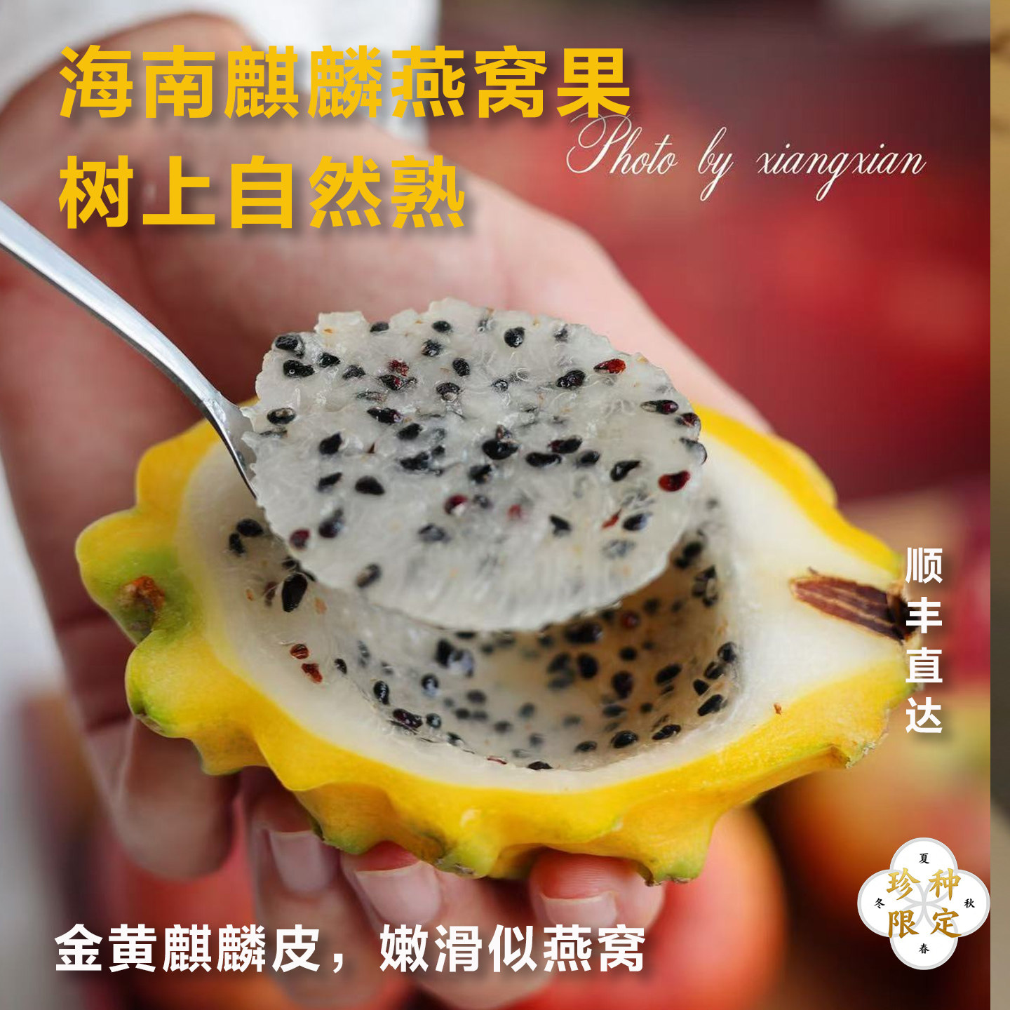 【顺丰包邮】海南燕窝果新鲜麒麟果黄金火龙果孕妇水果礼盒装