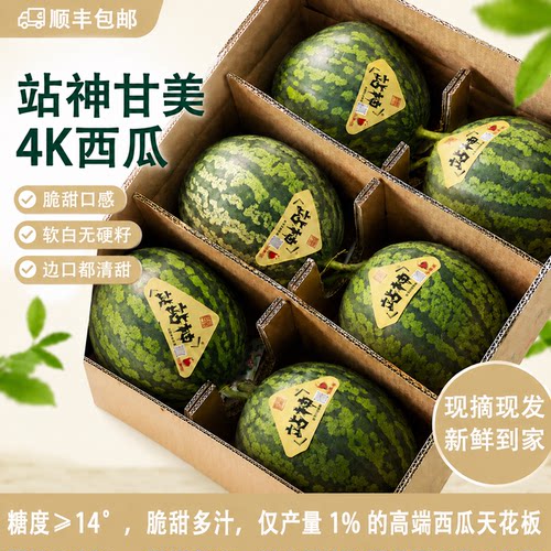 站神东台甘美4k西瓜整箱无籽西瓜脆甜多汁当季新鲜水果顺丰包邮