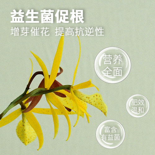 花信兰科基质伴侣牛粪肥促芽壮苗微生物有机肥完全腐熟家庭园艺肥