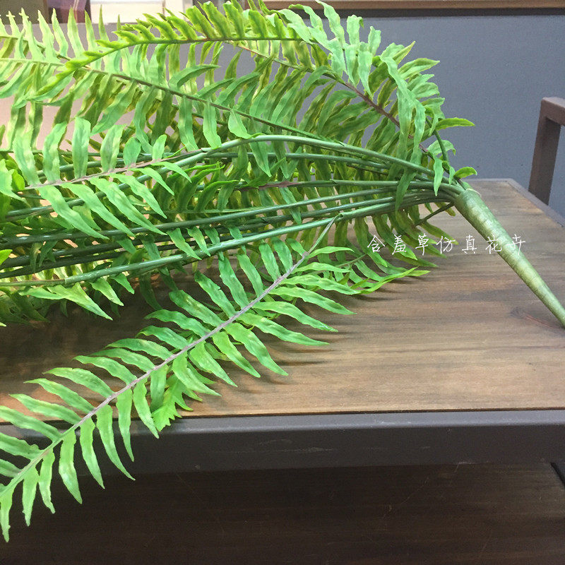 仿真蕨类植物高端波斯叶垂挂绿植 排草 植物墙婚庆壁挂大把束蕨草