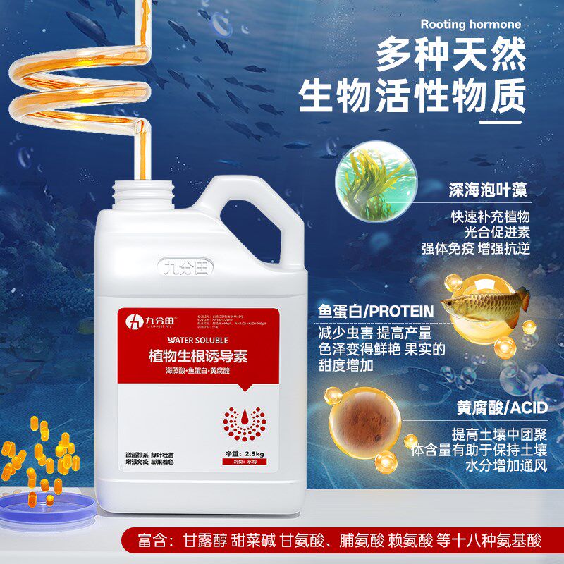 生根壮苗水溶肥料专用蔬菜果树强力爆发根黄腐殖酸海藻酸冲施肥
