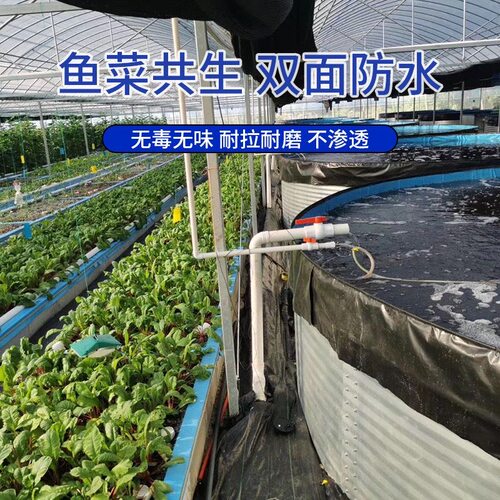 大型镀锌板帆布鱼池高密度养殖池加厚防水刀刮布蓄水池养鱼池全套