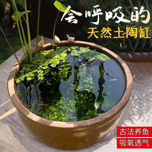 老式土陶水缸古法生态养鱼缸农村庭院造景缸瓦缸睡莲盆缸陶瓷大缸