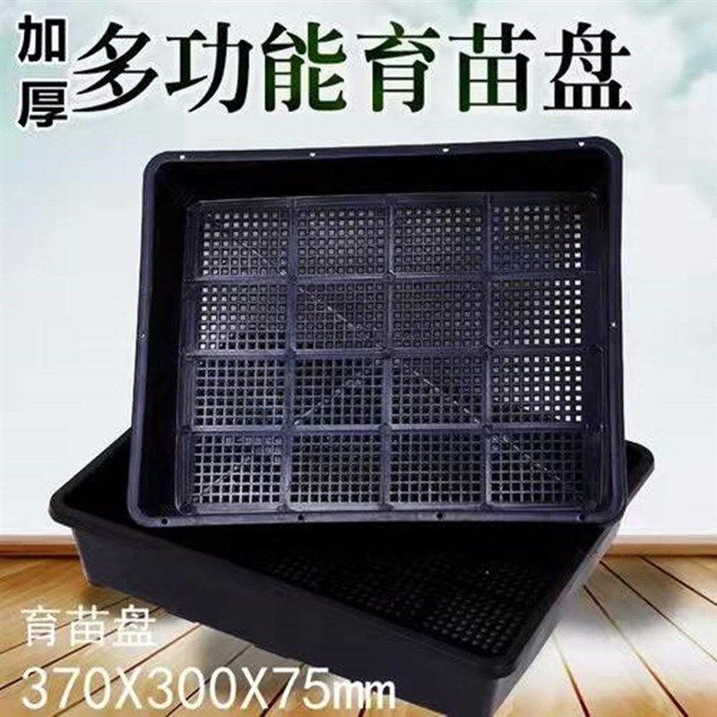1育苗盘水培盘无土栽培商用种植盘豌豆苗用长方形芽菜专用筐