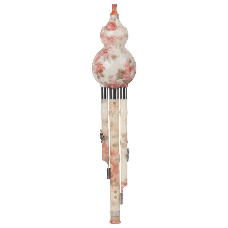 树脂葫芦丝c调专业小学生儿童初学降b调d调单音小孩子胡萝丝乐器g