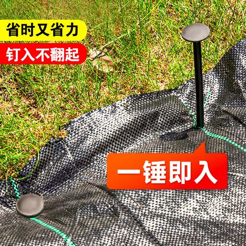 果树拉枝地钉防草布土塑料地布钉园艺垫布大棚温室倒刺地插除草布