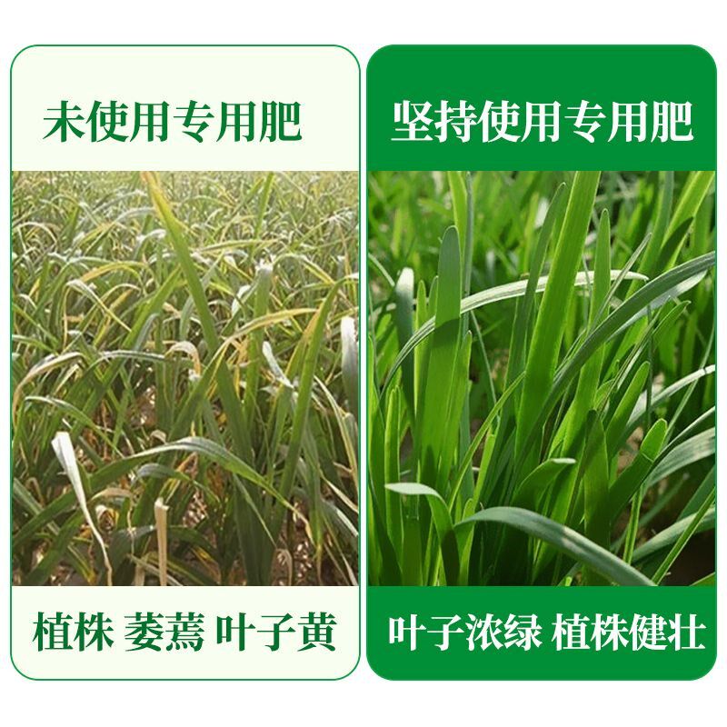 韭菜专用肥料增根促长壮苗叶面肥葱姜蒜蔬菜通用有机肥园艺颗粒肥