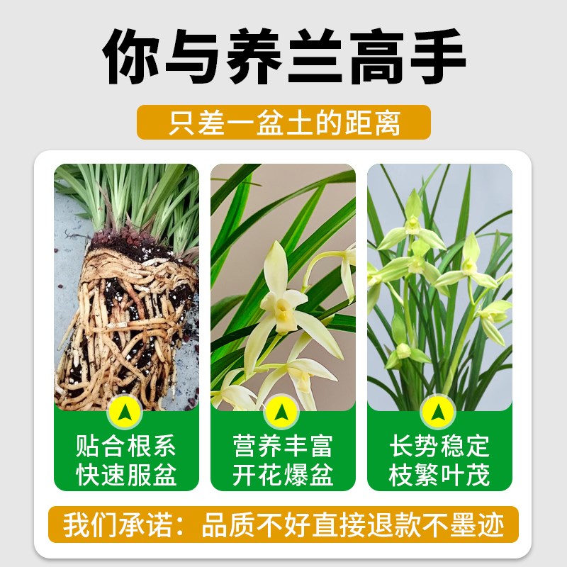兰花专用土营养土种养君子兰墨兰蝴蝶兰花专用植料松树皮专用肥料