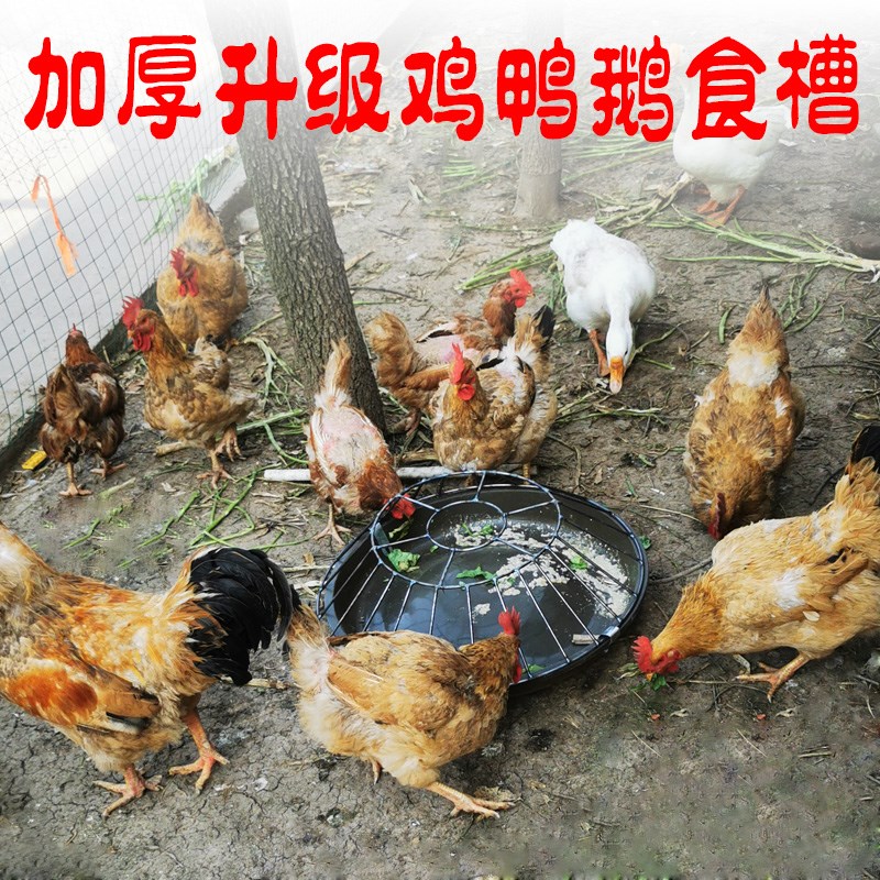 特厚家用喂鸡食槽料槽鸡鸭鹅自动喂食器补料盆圆形高压牛筋不锈钢