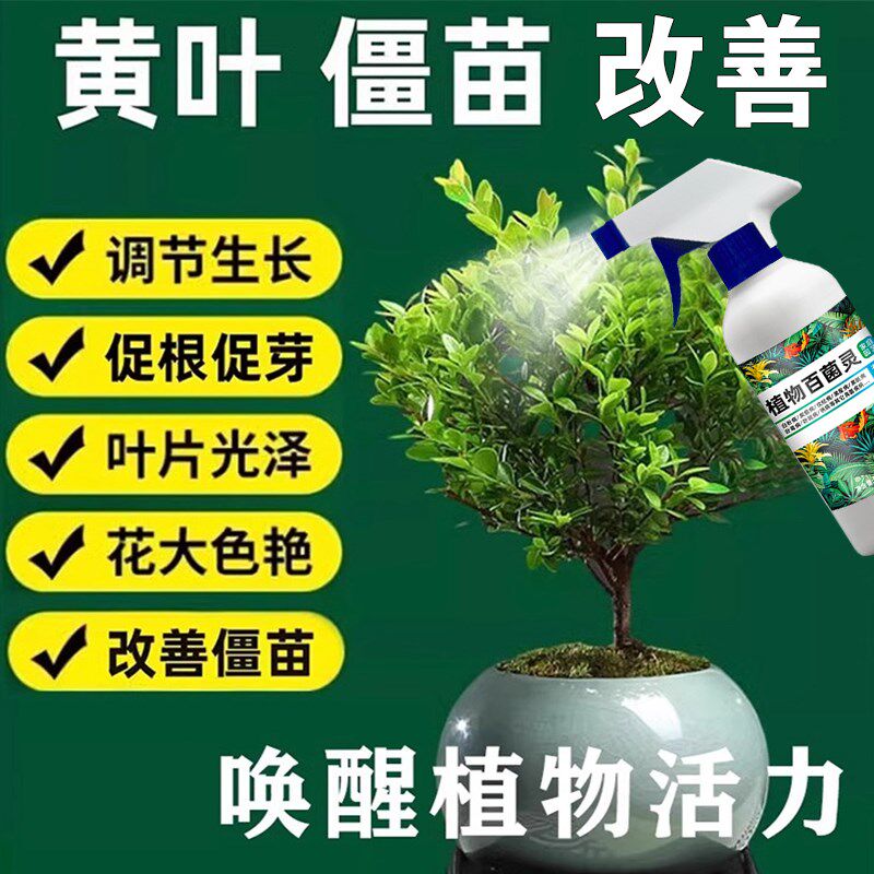 小叶紫檀专用肥赤楠黄杨盆景肥料盆栽小叶紫檀叶子发黄掉叶营养液