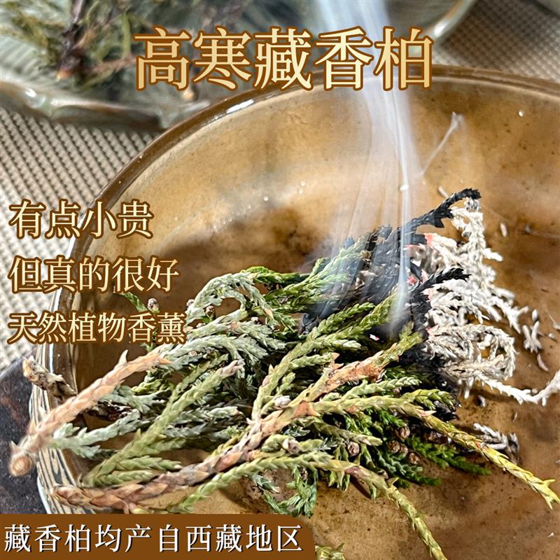 西藏野生藏香柏新鲜柏叶天然植物熏香净化空间长于雪山海拔4000米图片