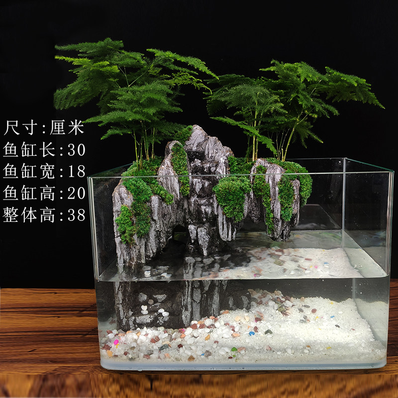 大鱼缸流水苔藓微景观生态瓶乌龟盆栽盆景植物室内办公室水培绿植