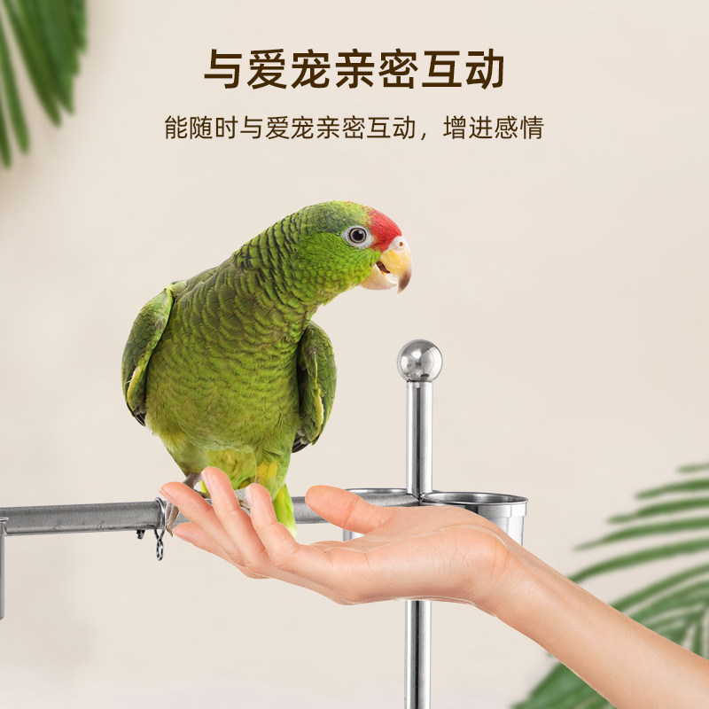 鹦鹉鸟架子不锈钢站笼站架鹩哥玄凤大型鹦鹉鸟笼子八哥脚链站杆