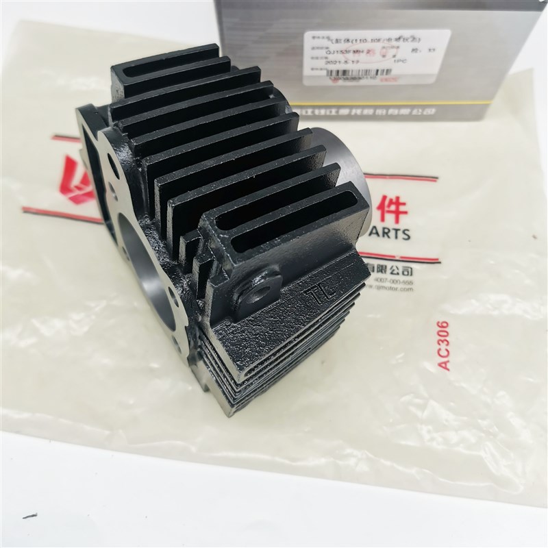 钱江摩托车风采风速QJ110-10F-10C-18J-18K套缸汽缸活塞环缸体