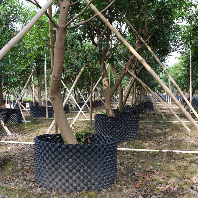 控根器 工厂直销控根容器 景观树围栏植树育苗器围土栏园林绿化