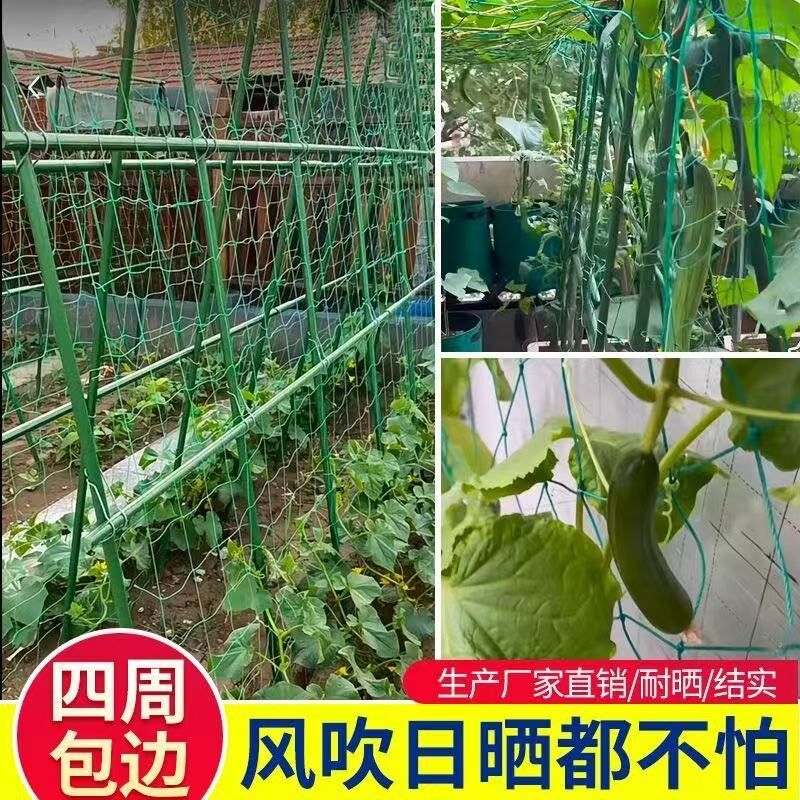 植物爬藤网豆角黄瓜丝瓜吊瓜攀爬搭架网葡萄苦瓜月季百香果种植网