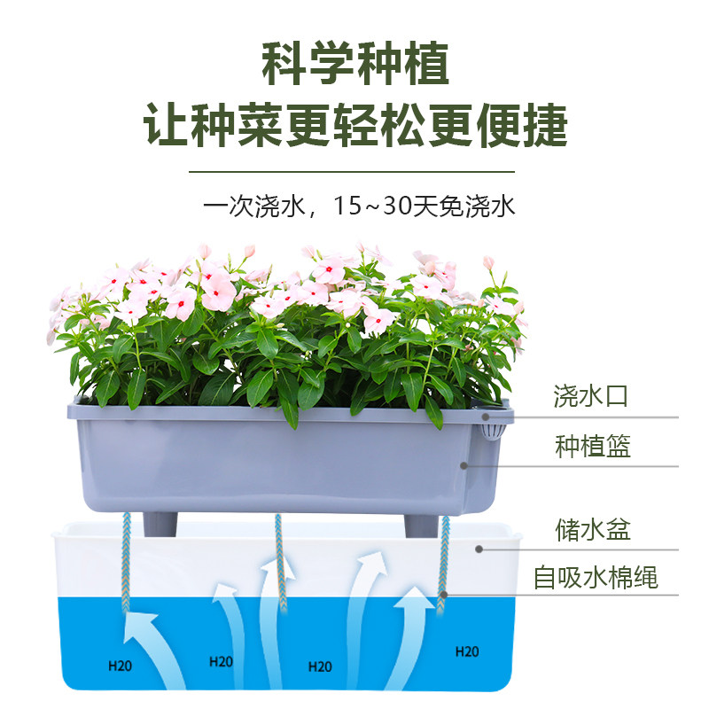 阳台种菜盆家庭蔬菜种植专用箱长方形自吸水室内草莓盆栽懒人花盆