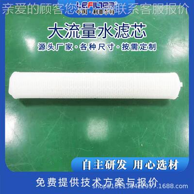 滤 10寸20寸0寸HPFEG00540寸保安精过滤折器微孔叠pp密芯