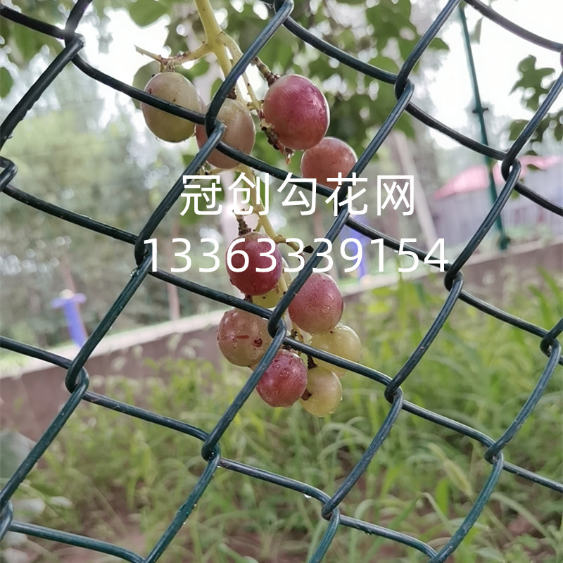 球场围网包塑菱形网绿化带防护网大型篱笆栅栏葡萄植物爬藤网定做