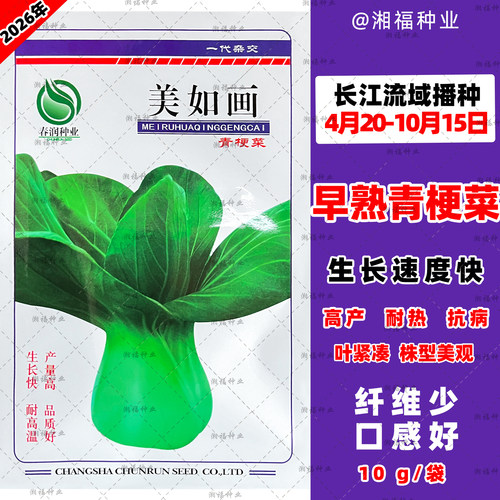 春润美如画青梗菜早熟种籽杂交四季青耐热抗病优质高产绿色蔬菜子