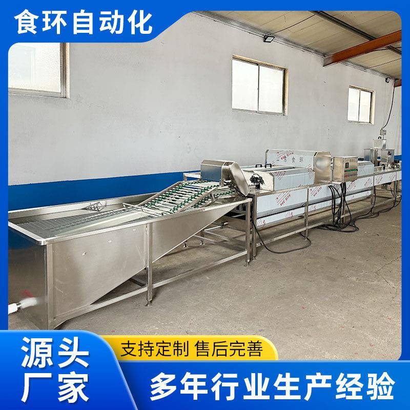 多排自动鸡蛋清洗机包灰蛋清洗皮蛋清洗机鸡蛋鸭蛋不锈钢洗蛋机