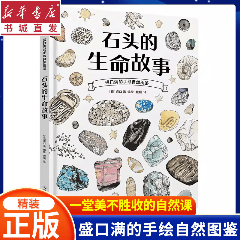 盛口满的手绘自然图鉴：石头的生命故事 7-10岁 石头地质 日本童书研究会 科普百科绘本 浪花朵朵