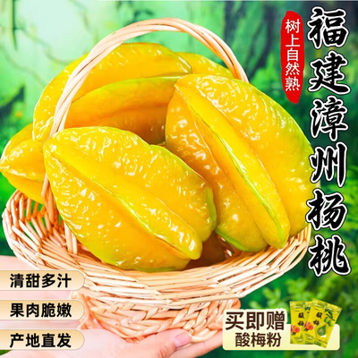下河杨桃鲜果新鲜大果福建漳州树上杨桃果洋桃应季现摘自然熟杨桃