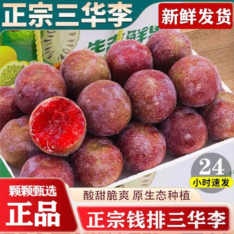 钱排红心三华李当季新鲜水果李子酸甜银妃芙蓉李现摘整箱脱骨脆李