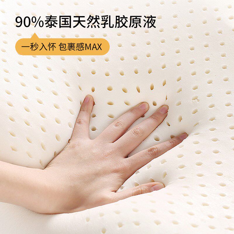 可折叠椰棕汉尼斯床垫乳胶沙发床垫黑色折叠两用垫子10cm护脊床垫