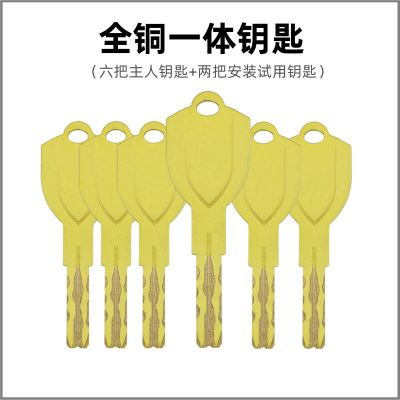替换盼盼小帅防盗门11齿10齿轮锁芯纯铜曼申国C级入户门叶片锁芯