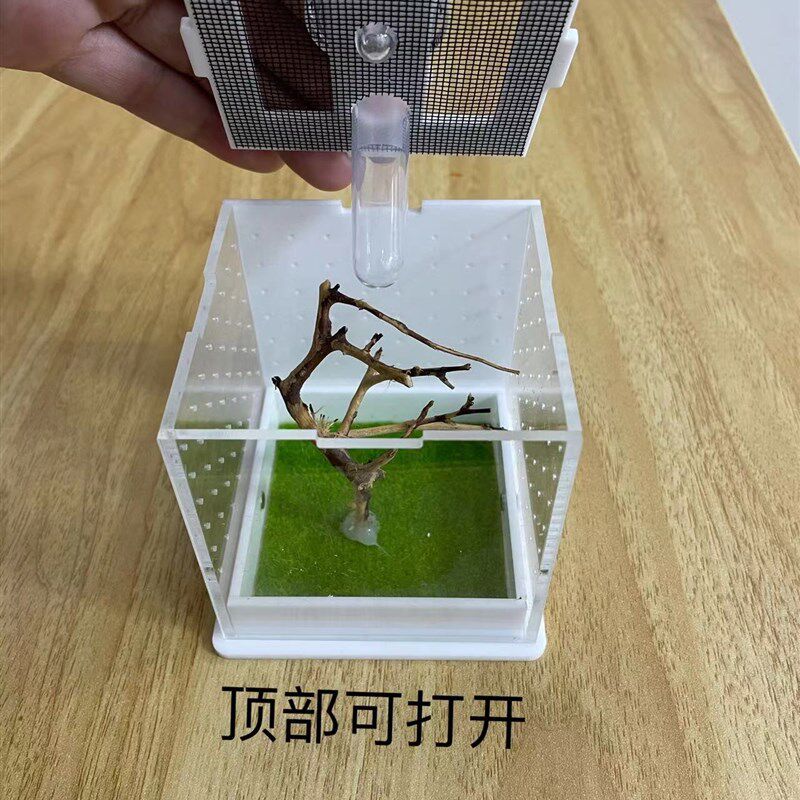 新款螳螂饲养盒跳蛛饲养盒蜘蛛昆虫亚克力蝈蝈笼子鸣虫盒子竹蛉盒