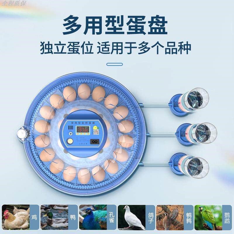 孵化器全自动智能一体款小飞碟孵化器迷你孵化机鸟蛋芦丁鸡孵蛋箱