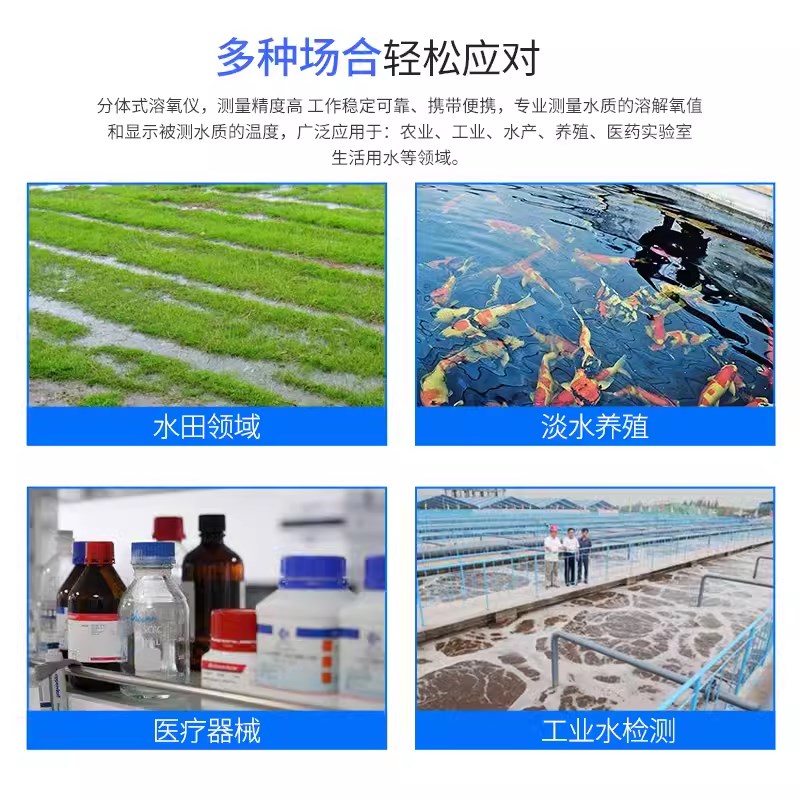 智能溶氧仪水产养殖溶解氧分析检测氧仪线上鱼塘含氧量自动测定仪