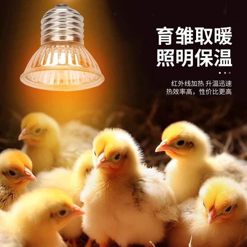 芦丁鸡保温灯小鸡育雏取暖灯宠物爬宠乌龟晒背太阳能灯鹦鹉保暖灯