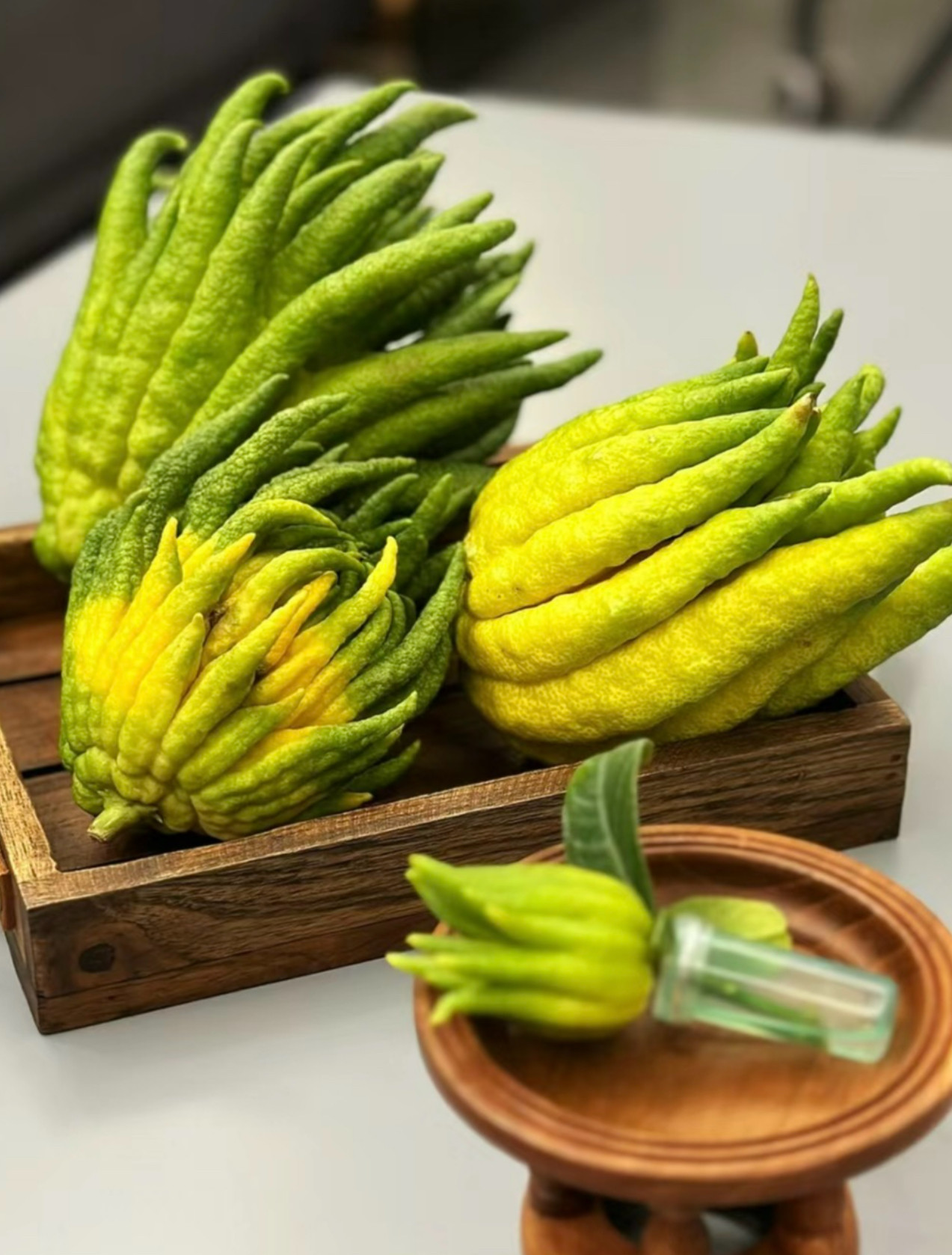 【晶洋-小果福利】清供礼佛闻香观赏摆件高端花材云南佛手基地直