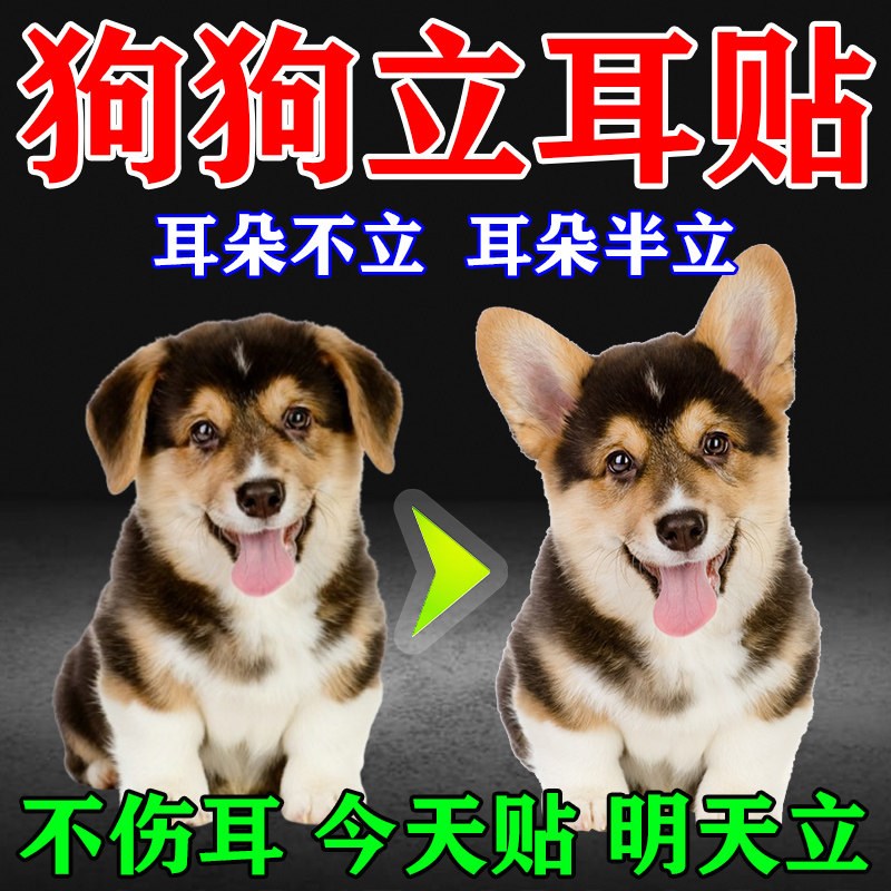 狗立耳神器幼犬柯基柴犬雪纳瑞马犬耳朵耷拉竖耳立耳贴固定器通用