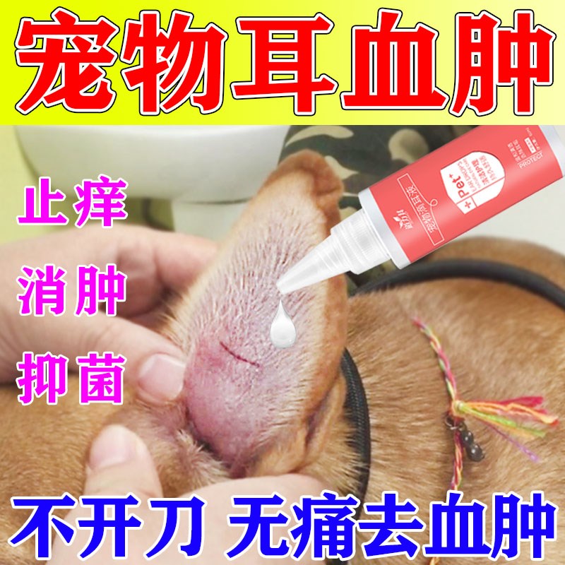 狗狗耳血肿清洁猫咪耳螨污垢消炎肿痛甩耳耳朵肿大感染流脓皮肤病