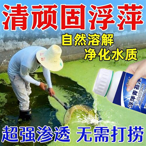 浮萍清除剂免打捞水产养殖灭浮萍药鱼池除藻剂青苔浮萍清理神器