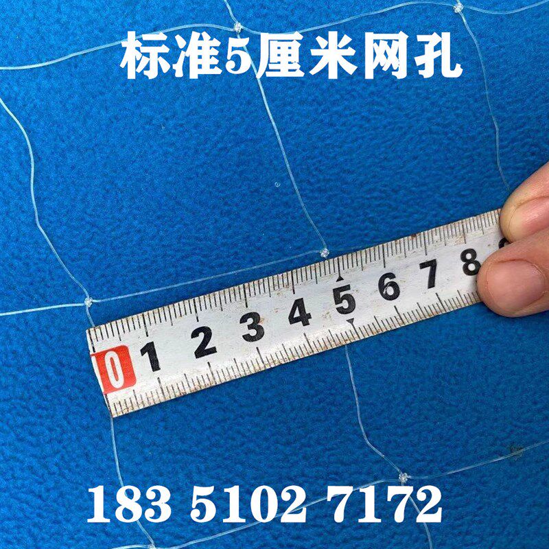 加粗大棚尼龙线防鸟网养殖天网葡萄园樱桃园果树防鸟用网鱼塘顶网