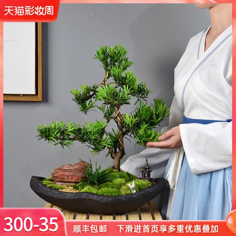 罗汉松盆景造型树庭院老桩中式办公室客厅室内植物观赏大盆栽绿植